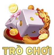 Câu hỏi thường gặp vi84