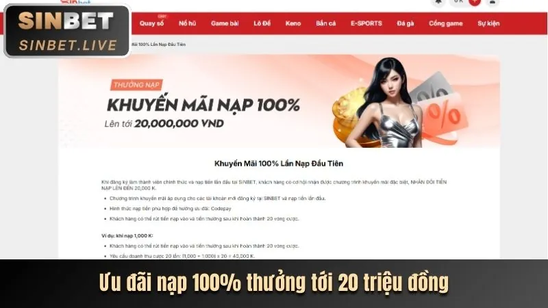Hoàn trả hàng ngày vi84